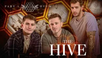 The Hive: Ovum